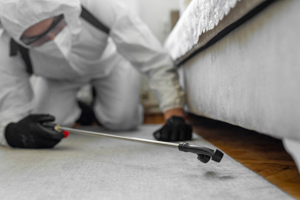 Professional Termite Control technician working in Belknap County County, NH